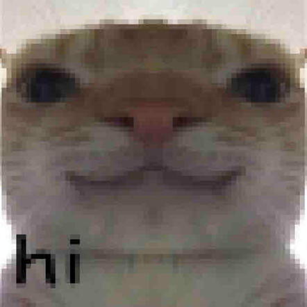 a picture of an orange cat's face that's been distorted to look wider, on the bottom left corner of the picture, it says "hi"